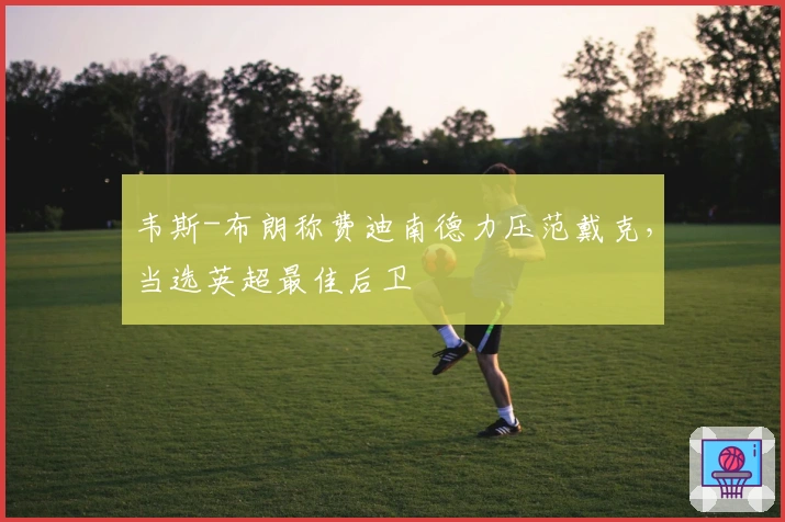 韦斯-布朗称费迪南德力压范戴克，当选英超最佳后卫